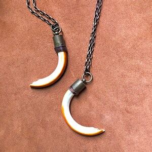 Authentic Beaver Tooth Necklace, Real Tooth Pendant, Natural History ...