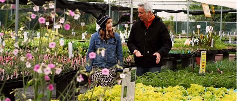 annies annuals growingagreenerworldcom