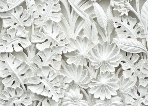 images black  white flower petal pattern  decor