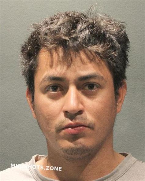 The jt Mugshots Phenomenon Explained - zfhssac