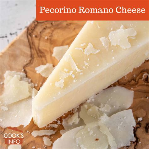 Pecorino Romano Cheese - CooksInfo