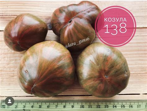 КОЗУЛА 138 томат | Томатная Коллекция - Редкие и эксклюзивные семена ...