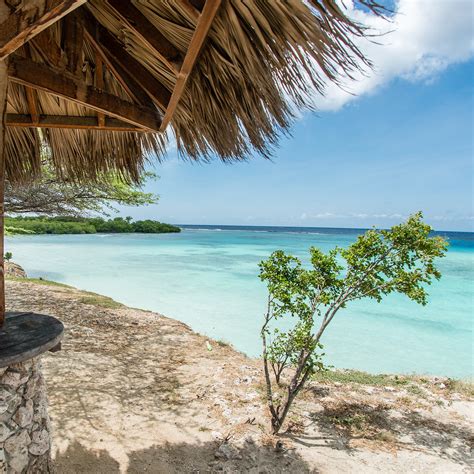 Aruba Snorkeling Beaches - Best Snorkeling in the Caribbean | Aruba