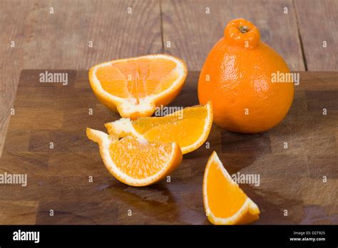 orange   large stem base stock photo alamy