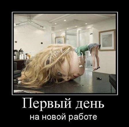 275 смешных картинок про работу