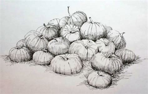 Pumpkin Patch Drawing at PaintingValley.com | Explore collection of Pumpkin Patch Drawing