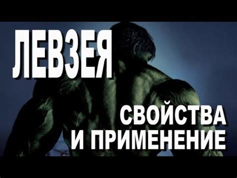 Левзея: Свойства и применение - YouTube