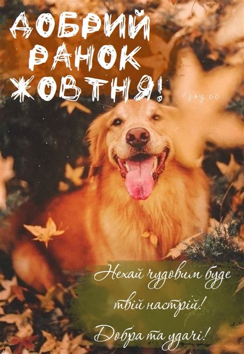 Красиві картинки - Доброго жовтневого ранку! (50 фото)