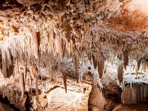 Gaden Cave | NSW Holidays & Accommodation, Things to Do, Attractions ...