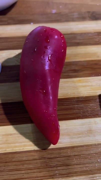 sahang shells sisig shortvideo youtube