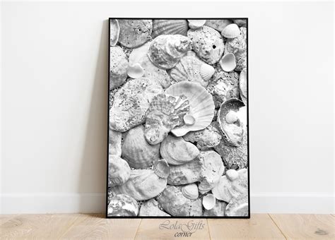 Seashells Print Black White Photography Coastal Art Print | Etsy