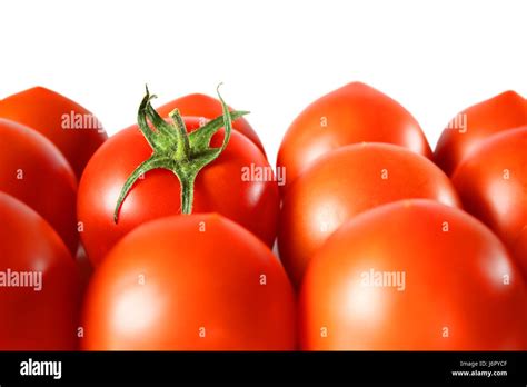 solanum lycopersicum Stock Photo - Alamy