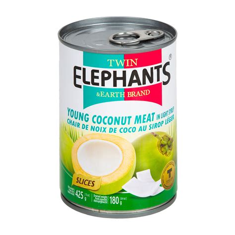 Twin Elephants Young Coconut Meat In Light Syrup 425 g Online at Best