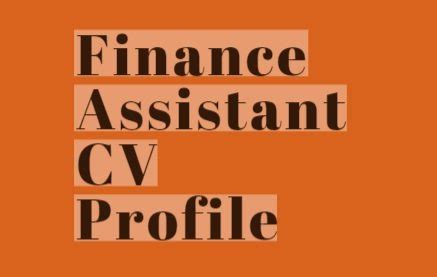 finance assistant cv profile  learnistorg