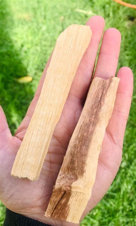 organic sustainable sage sticks