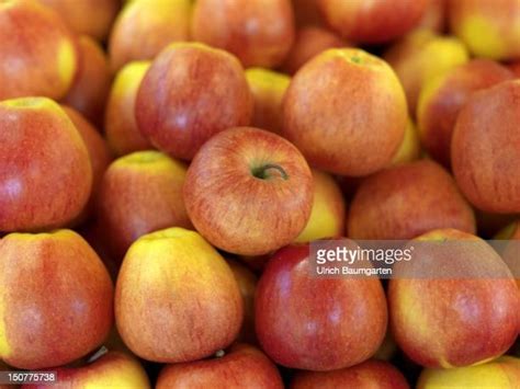 Pinova Photos and Premium High Res Pictures - Getty Images