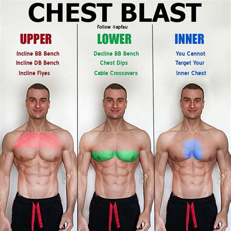 Workouts For Your Lower Chest - WorkoutWalls