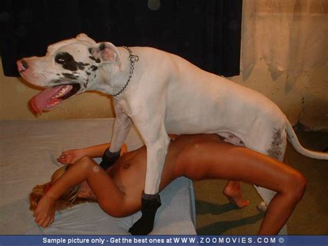 우라본킹효봉블로그: DOGG FUCK!!!!
