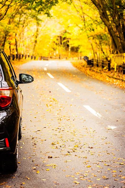 comment financer votre permis de conduire artofit