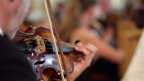 Symphony Orchestra Player is Playing Stock Footage Video (100% Royalty ...