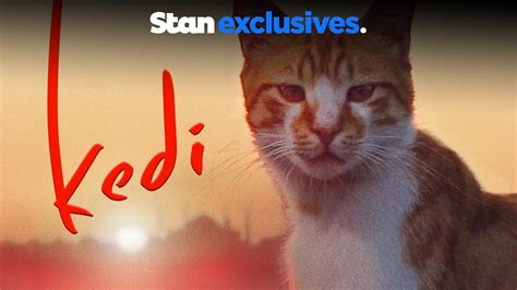 Stream Kedi Online | Download and Watch HD Movies | Stan