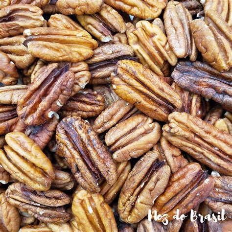 noz pecan   noz  brasil shopee brasil