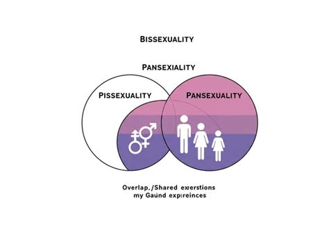 泛性恋解析：您的性取向与 LGBTQ+ 身份指南 - gaytest.me