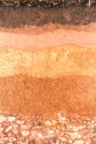 lapisan tanah  bawah tanah foto stok  gambar  adonan