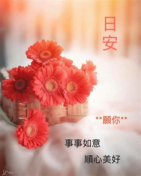 peaceful buddha purnima wishes good afternoon  japanese  happy