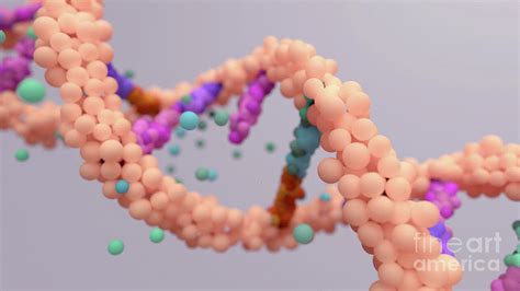 Dna Mutation #1 by Design Cells/science Photo Library