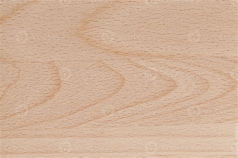 beech wood stock  images  backgrounds