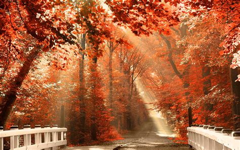 Fall Backgrounds For Desktop - Wallpaper Cave