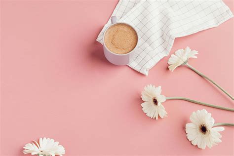 soft aesthetic computer wallpapers wallpaperscom