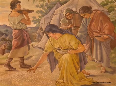 10 Epic Miracles in the Bible - Beliefnet