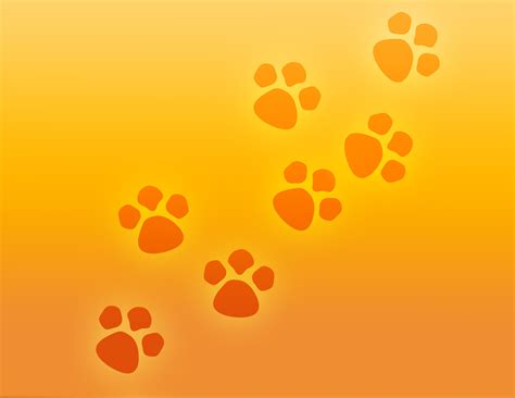 Кошачьи лапки фон (Большое количество фото в статье) - deviceart.ru