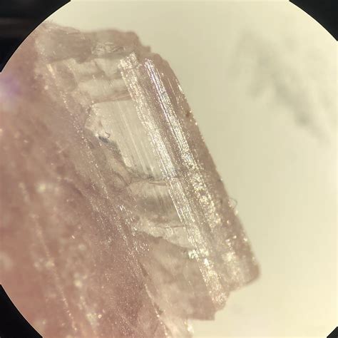 microscopy crystals   microscope