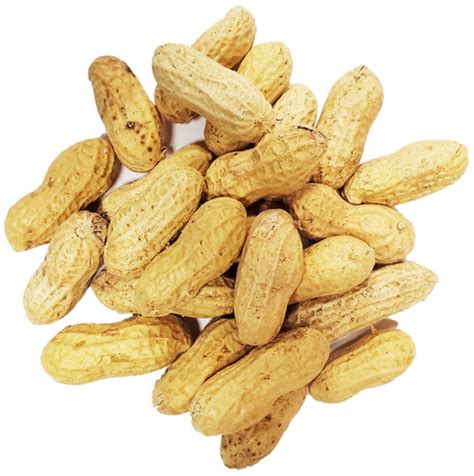 Bulk Raw Peanuts in Shell - CountryMax