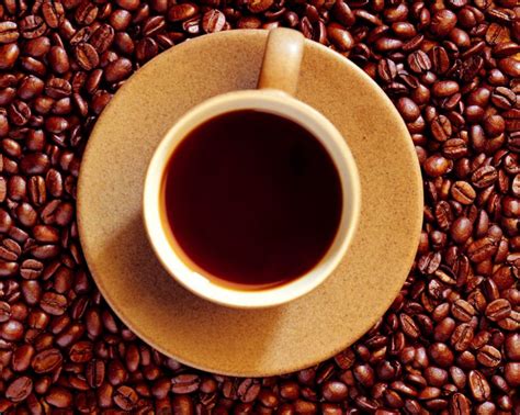 jenis kopi khas indonesia  digemari  populer  luar negeri