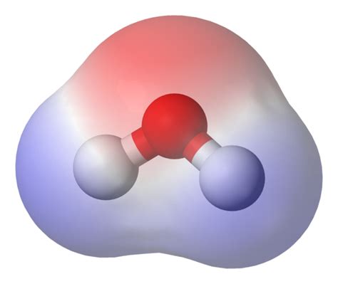 Polarity of Water – Why is Water Polar? | ChemTalk