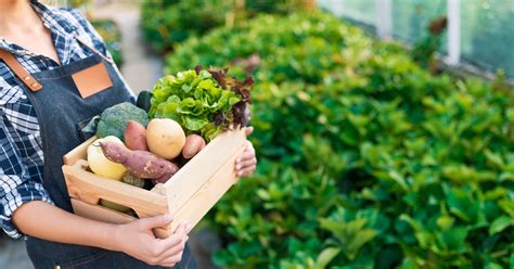 locally grown food    environment