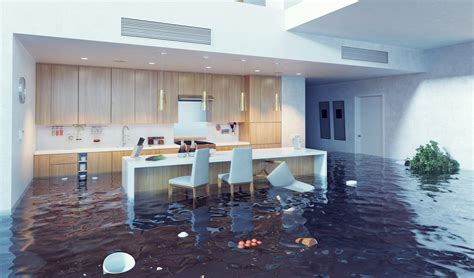 7 Things You Should Know about Water Leaks in Your Home