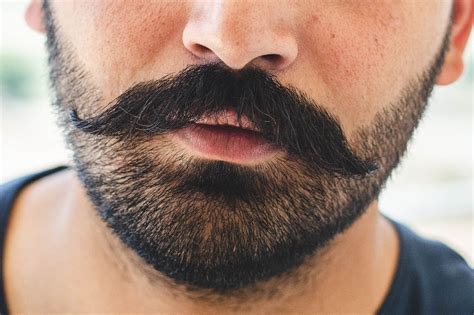 top  stubble beard styles  men   guide examples beard