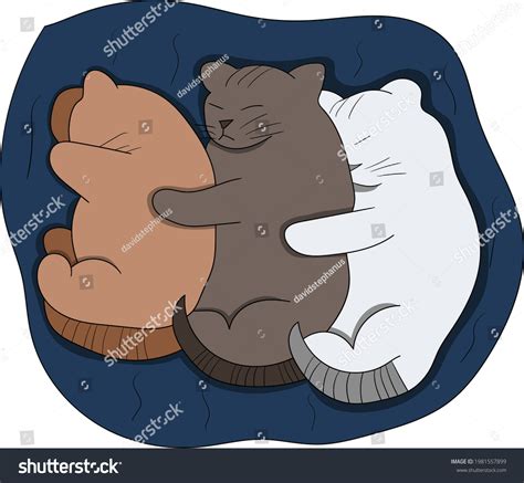 Three Sleeping Cute Kitten Perfect Design Stock Vector (Royalty Free ...