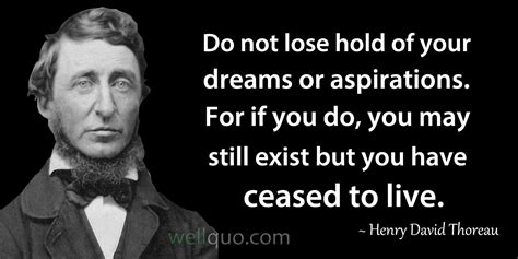 Henry David Thoreau Quotes - Well Quo