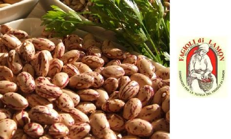 prodotti tipici italiani fagiolo  lamon della vallata bellunese igp