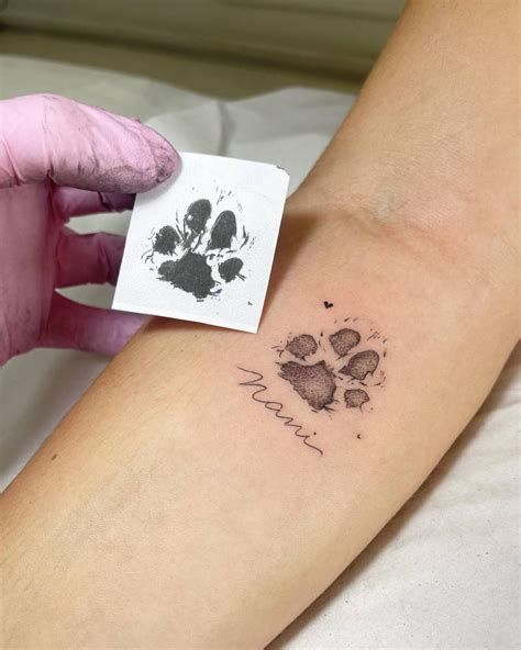 small cat paw print tattoo   unique meaningful body art