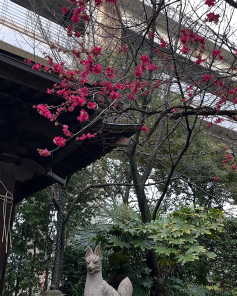 太田真希（株）September5主宰｜フリーアナウンサー｜タレント (@ota_maki95) • Instagram photos and