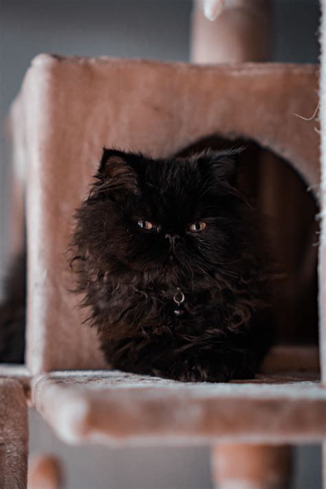 “You can catch flies with honey, but you can catch more honeys being