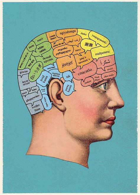 A teoria da estupidez de que explica perfeitamente o mundo | by Renato