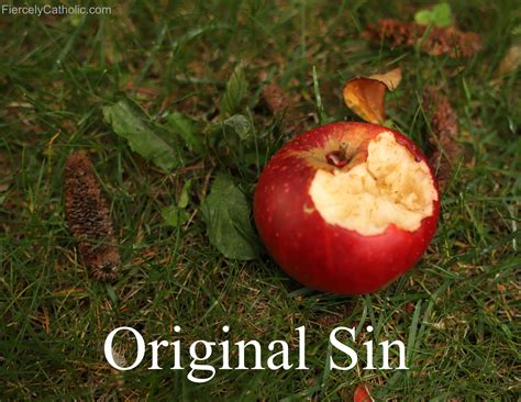 Original Sin – Fiercely Catholic